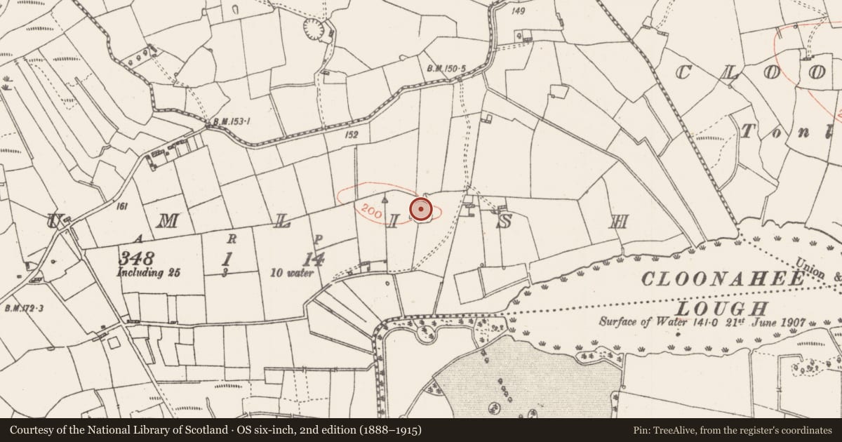 Ordnance Survey six-inch map, 2nd edition (1888–1915) covering the location of Ringfort - rath, Drumlish, County Roscommon, with a pin at the register's coordinates