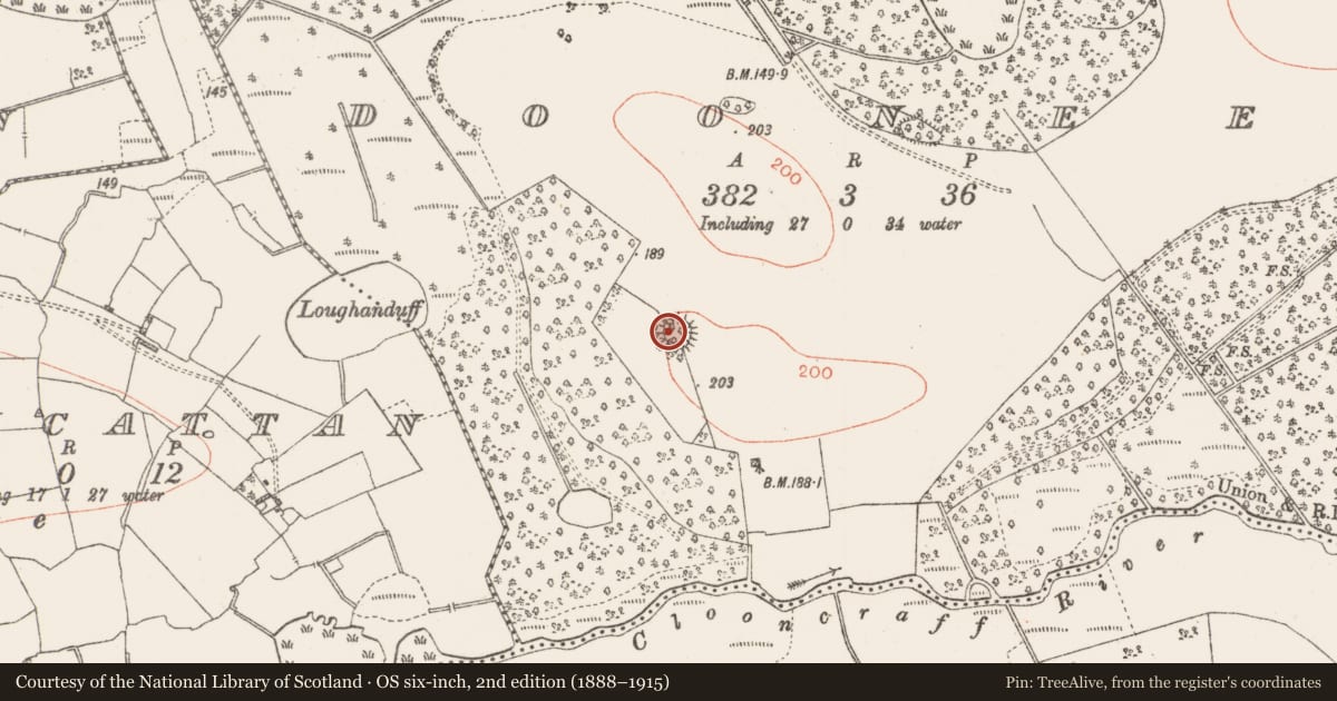 Ordnance Survey six-inch map, 2nd edition (1888–1915) covering the location of Ringfort - rath, Dooneen, County Roscommon, with a pin at the register's coordinates