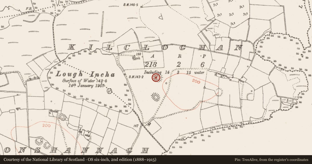 Ordnance Survey six-inch map, 2nd edition (1888–1915) covering the location of Ringfort - rath, Kilcloghan, County Roscommon, with a pin at the register's coordinates