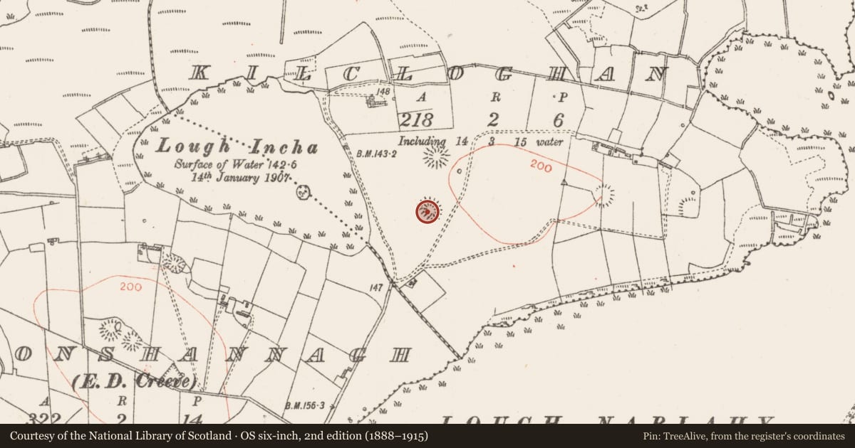 Ordnance Survey six-inch map, 2nd edition (1888–1915) covering the location of Ringfort - rath, Kilcloghan, County Roscommon, with a pin at the register's coordinates