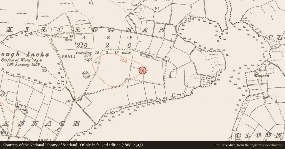 Ordnance Survey six-inch map, 2nd edition (1888–1915) covering the location of Ringfort - rath, Kilcloghan, County Roscommon, with a pin at the register's coordinates