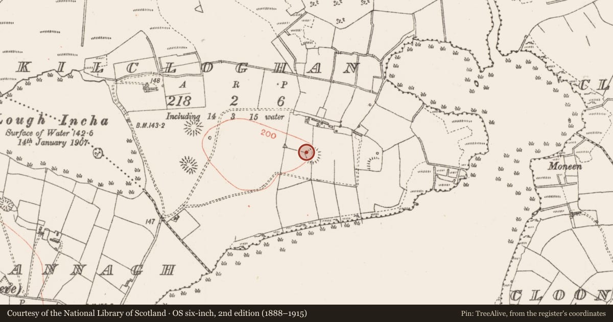Ordnance Survey six-inch map, 2nd edition (1888–1915) covering the location of House - indeterminate date, Kilcloghan, County Roscommon, with a pin at the register's coordinates