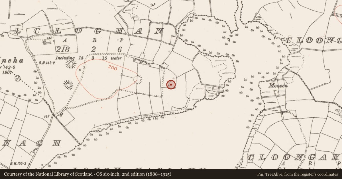 Ordnance Survey six-inch map, 2nd edition (1888–1915) covering the location of Ringfort - rath, Kilcloghan, County Roscommon, with a pin at the register's coordinates