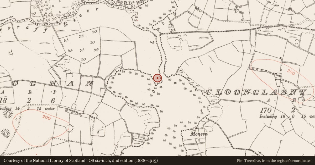 Ordnance Survey six-inch map, 2nd edition (1888–1915) covering the location of Crannog, Lough Nablahy, County Roscommon, with a pin at the register's coordinates
