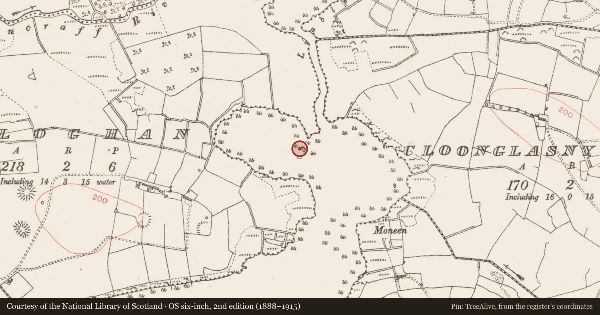 Ordnance Survey six-inch map, 2nd edition (1888–1915) covering the location of Crannog, Lough Nablahy, County Roscommon, with a pin at the register's coordinates