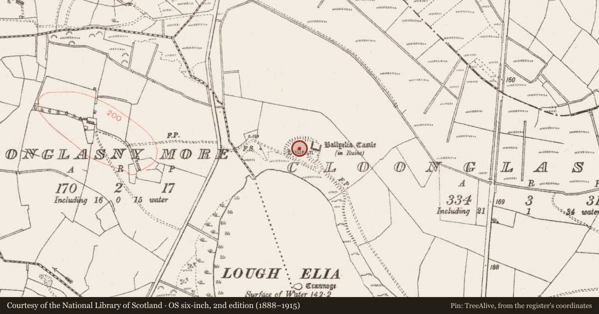 Ordnance Survey six-inch map, 2nd edition (1888–1915) covering the location of Enclosure - large enclosure, Cloonglasny Beg, County Roscommon, with a pin at the register's coordinates