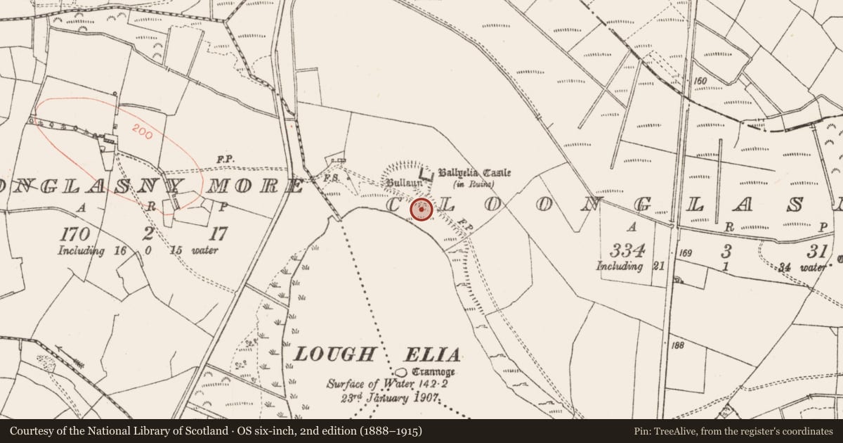Ordnance Survey six-inch map, 2nd edition (1888–1915) covering the location of Bullaun stone, Cloonglasny Beg, County Roscommon, with a pin at the register's coordinates