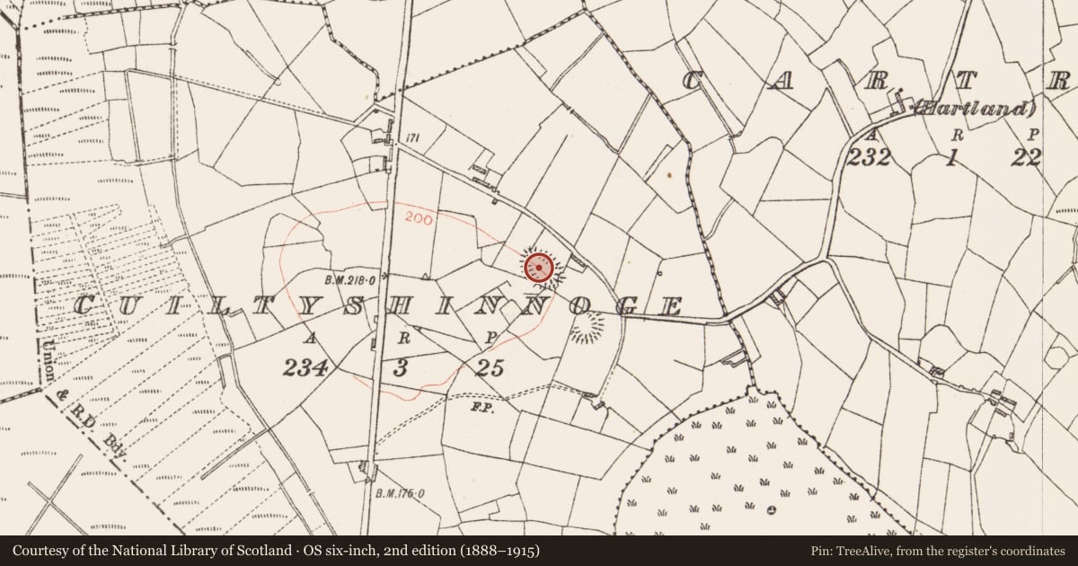 Ordnance Survey six-inch map, 2nd edition (1888–1915) covering the location of Ringfort - rath, Cuiltyshinnoge, County Roscommon, with a pin at the register's coordinates