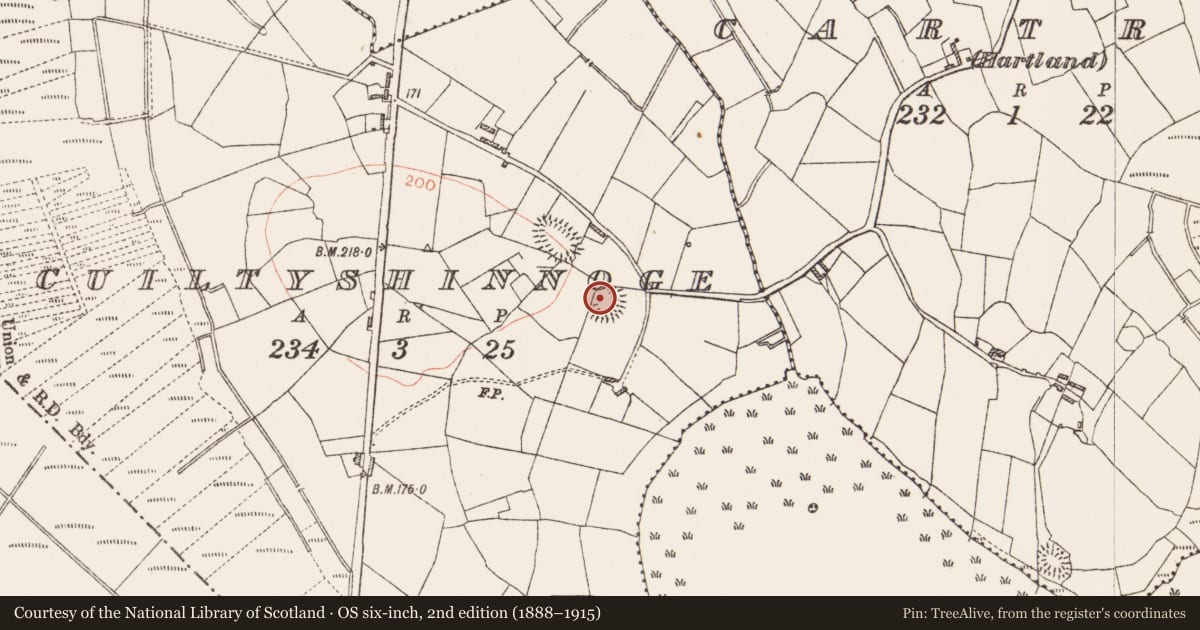 Ordnance Survey six-inch map, 2nd edition (1888–1915) covering the location of Ringfort - rath, Cuiltyshinnoge, County Roscommon, with a pin at the register's coordinates