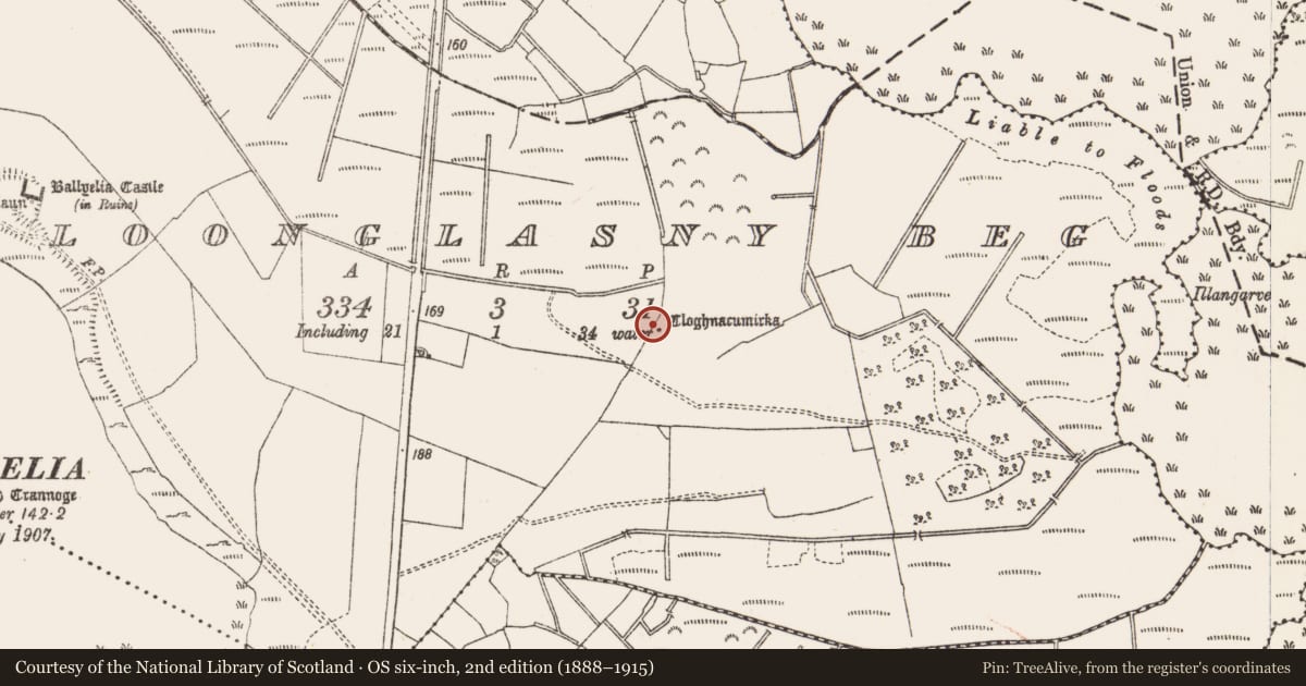 Ordnance Survey six-inch map, 2nd edition (1888–1915) covering the location of Cross-slab, Cloonglasny Beg, County Roscommon, with a pin at the register's coordinates