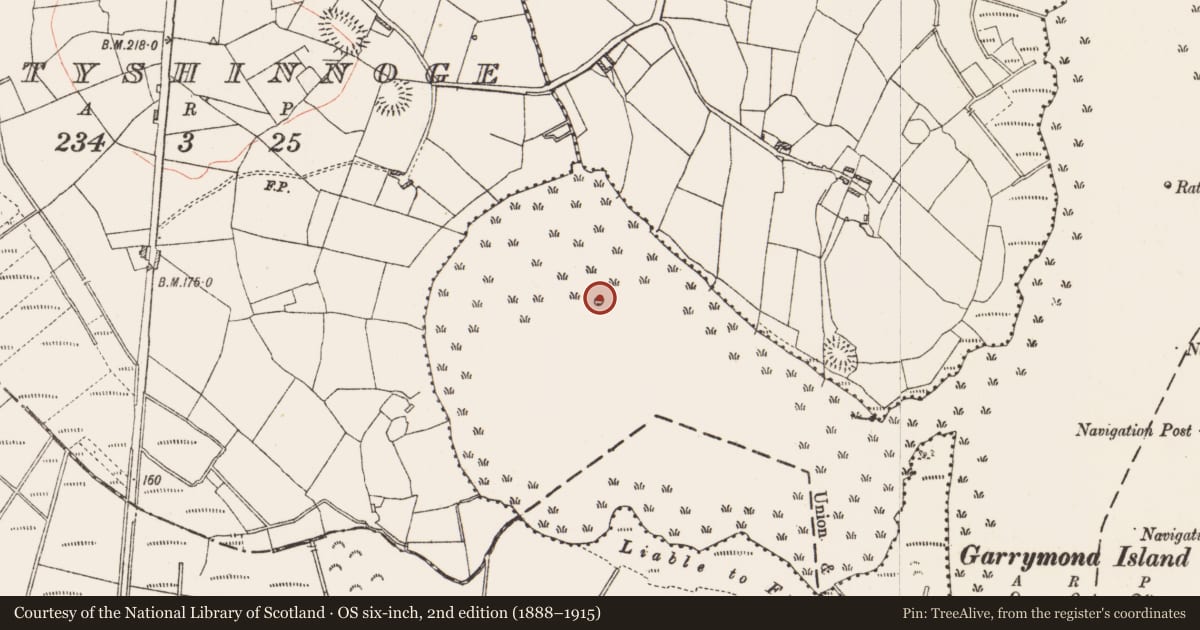Ordnance Survey six-inch map, 2nd edition (1888–1915) covering the location of Crannog, Grange Lough, County Roscommon, with a pin at the register's coordinates