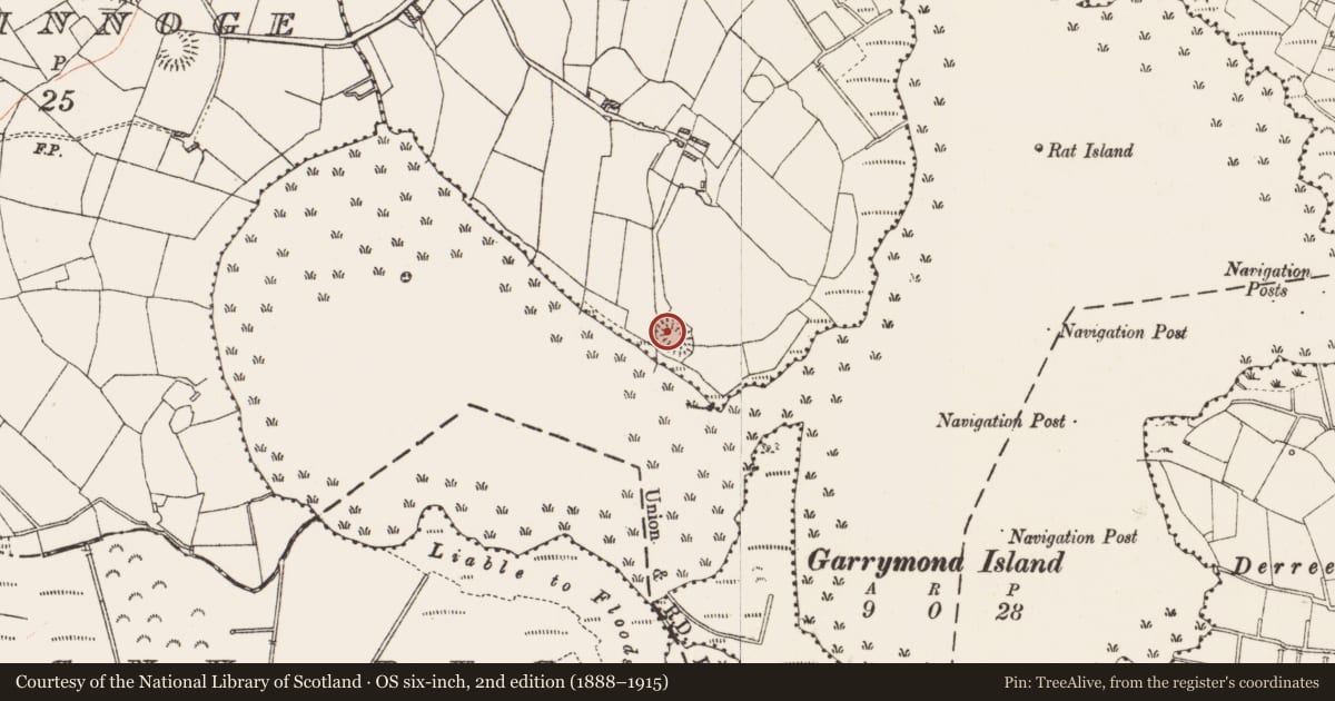 Ordnance Survey six-inch map, 2nd edition (1888–1915) covering the location of Ringfort - rath, Cartron (Hartland), County Roscommon, with a pin at the register's coordinates
