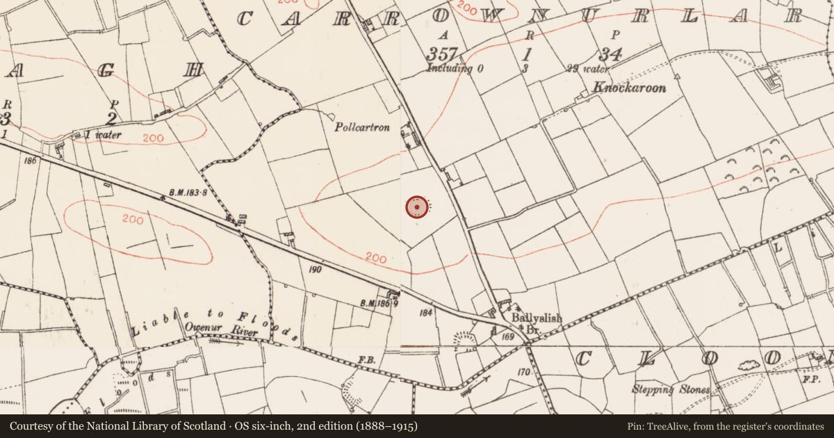 Ordnance Survey six-inch map, 2nd edition (1888–1915) covering the location of Ringfort - rath, Carrownurlar (Roscommon By. ), County Roscommon, with a pin at the register's coordinates