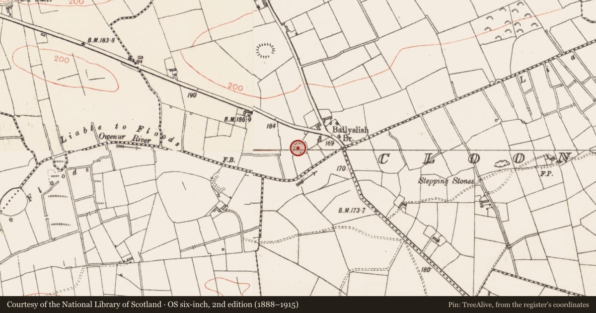 Ordnance Survey six-inch map, 2nd edition (1888–1915) covering the location of Moated site, Carrownurlar (Roscommon By. ), County Roscommon, with a pin at the register's coordinates