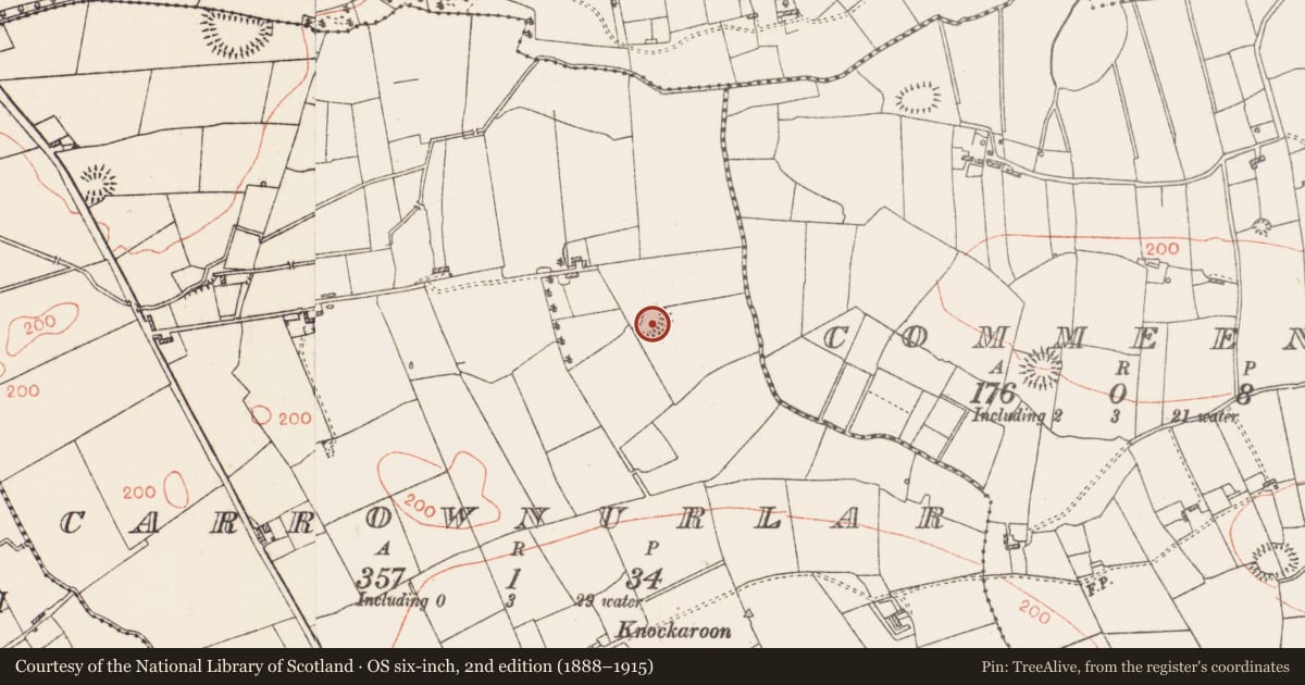 Ordnance Survey six-inch map, 2nd edition (1888–1915) covering the location of Ringfort - rath, Carrownurlar (Roscommon By. ), County Roscommon, with a pin at the register's coordinates