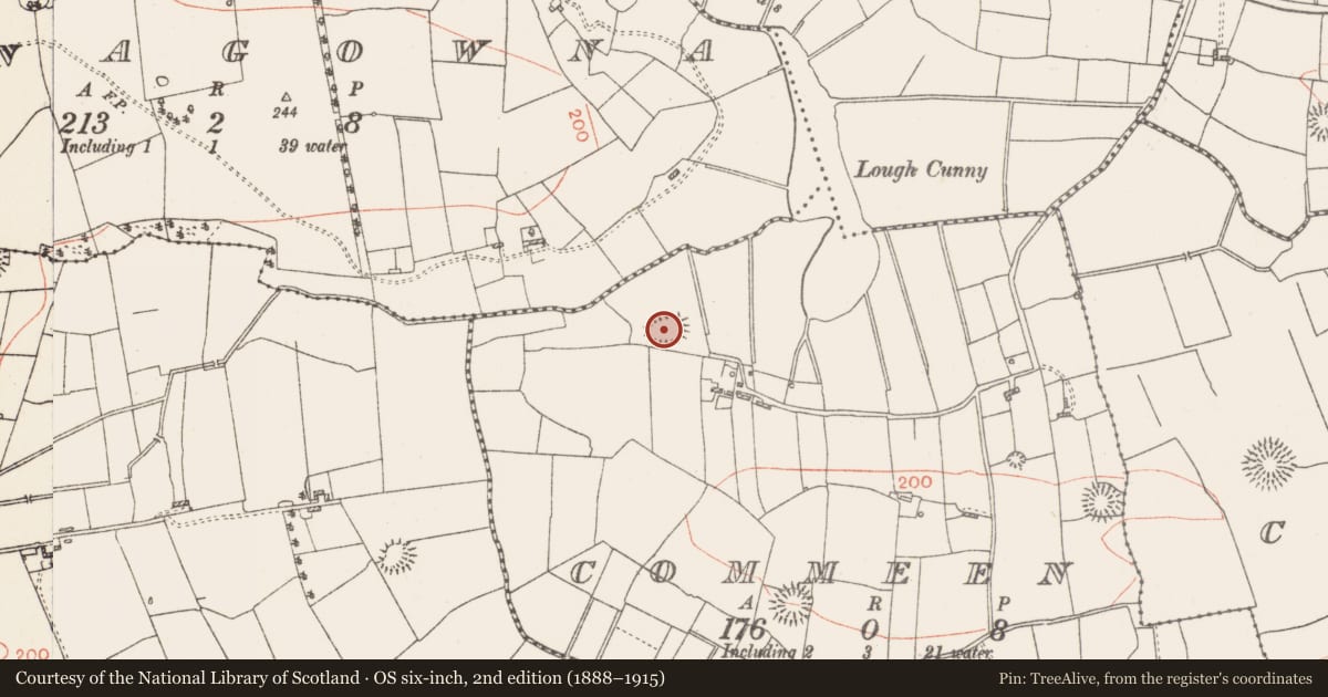 Ordnance Survey six-inch map, 2nd edition (1888–1915) covering the location of Ringfort - rath, Commeen, County Roscommon, with a pin at the register's coordinates