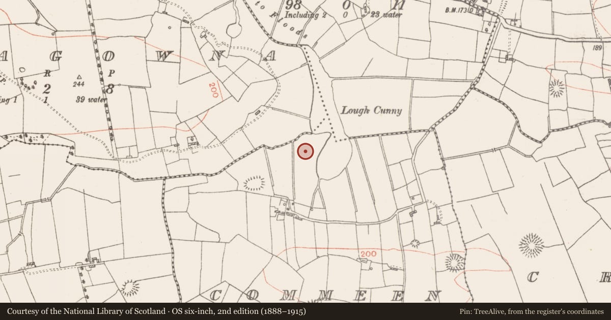 Ordnance Survey six-inch map, 2nd edition (1888–1915) covering the location of Crannog, Commeen, County Roscommon, with a pin at the register's coordinates