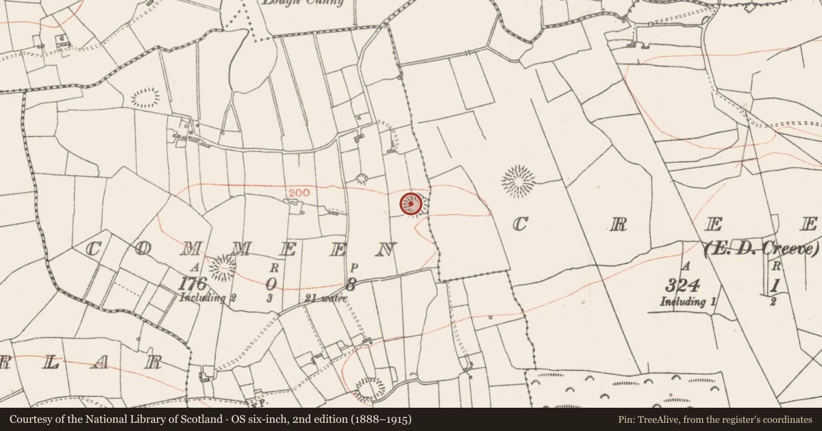 Ordnance Survey six-inch map, 2nd edition (1888–1915) covering the location of Ringfort - rath, Commeen, County Roscommon, with a pin at the register's coordinates