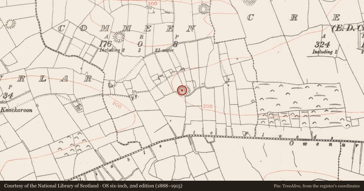 Ordnance Survey six-inch map, 2nd edition (1888–1915) covering the location of Ringfort - rath, Commeen, County Roscommon, with a pin at the register's coordinates