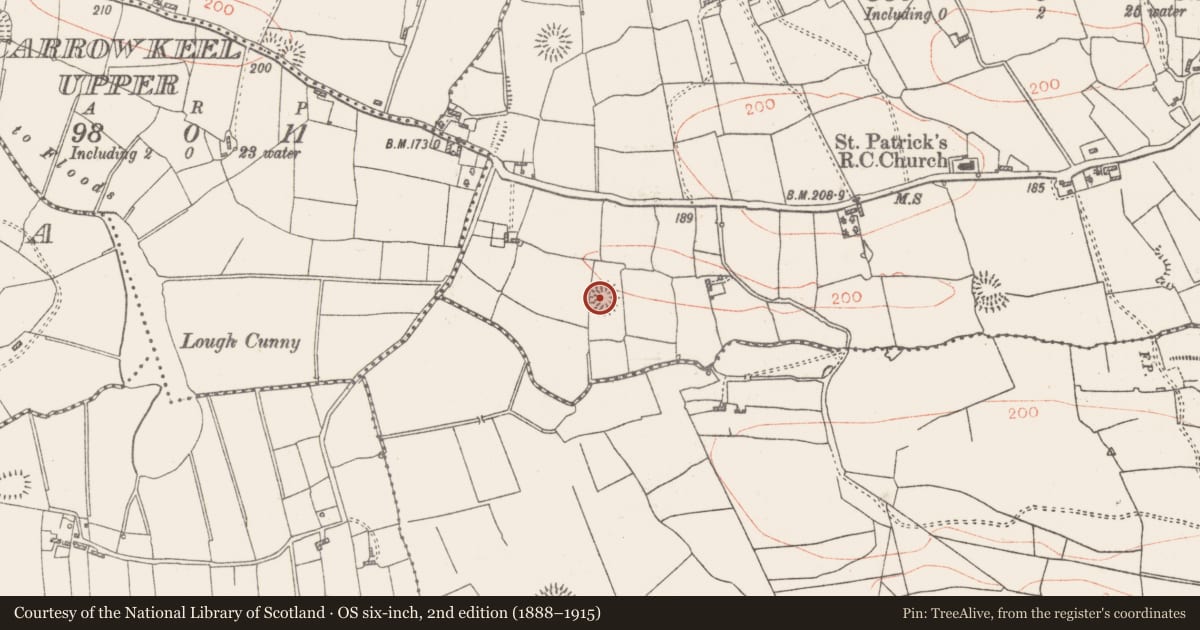 Ordnance Survey six-inch map, 2nd edition (1888–1915) covering the location of Moated site, Kye, County Roscommon, with a pin at the register's coordinates