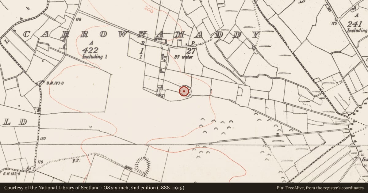 Ordnance Survey six-inch map, 2nd edition (1888–1915) covering the location of Ringfort - rath, Carrownamaddy, County Roscommon, with a pin at the register's coordinates