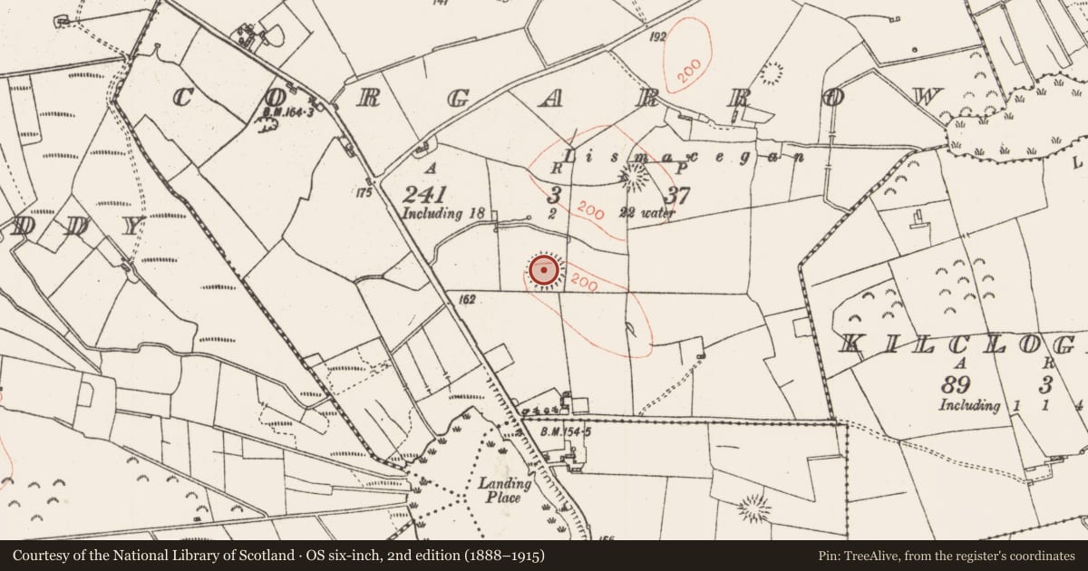 Ordnance Survey six-inch map, 2nd edition (1888–1915) covering the location of Ringfort - rath, Corgarrow, County Roscommon, with a pin at the register's coordinates