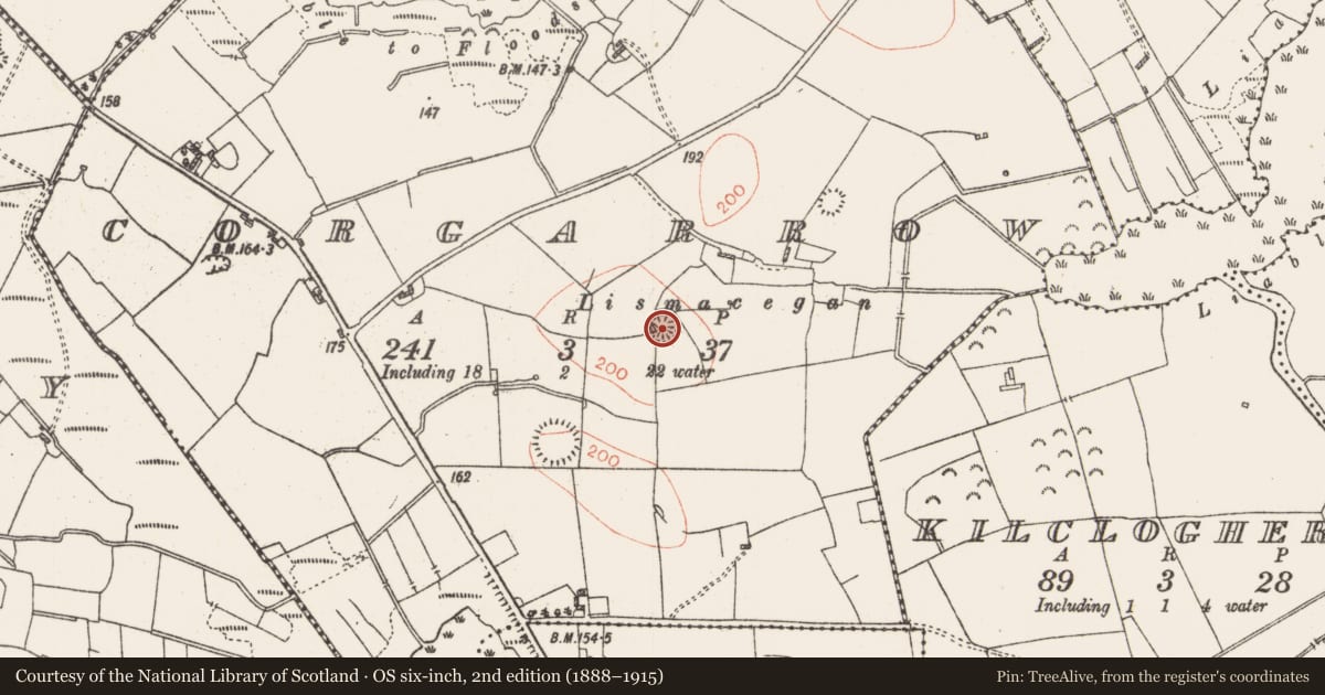 Ordnance Survey six-inch map, 2nd edition (1888–1915) covering the location of Ringfort - rath, Corgarrow, County Roscommon, with a pin at the register's coordinates