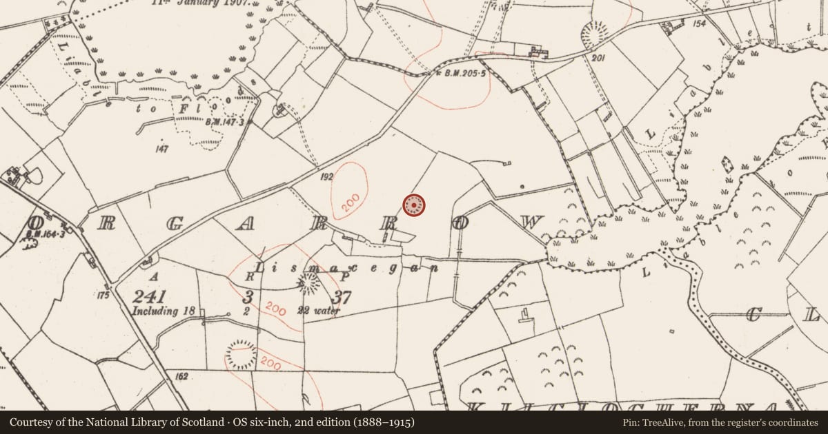 Ordnance Survey six-inch map, 2nd edition (1888–1915) covering the location of Ringfort - rath, Corgarrow, County Roscommon, with a pin at the register's coordinates
