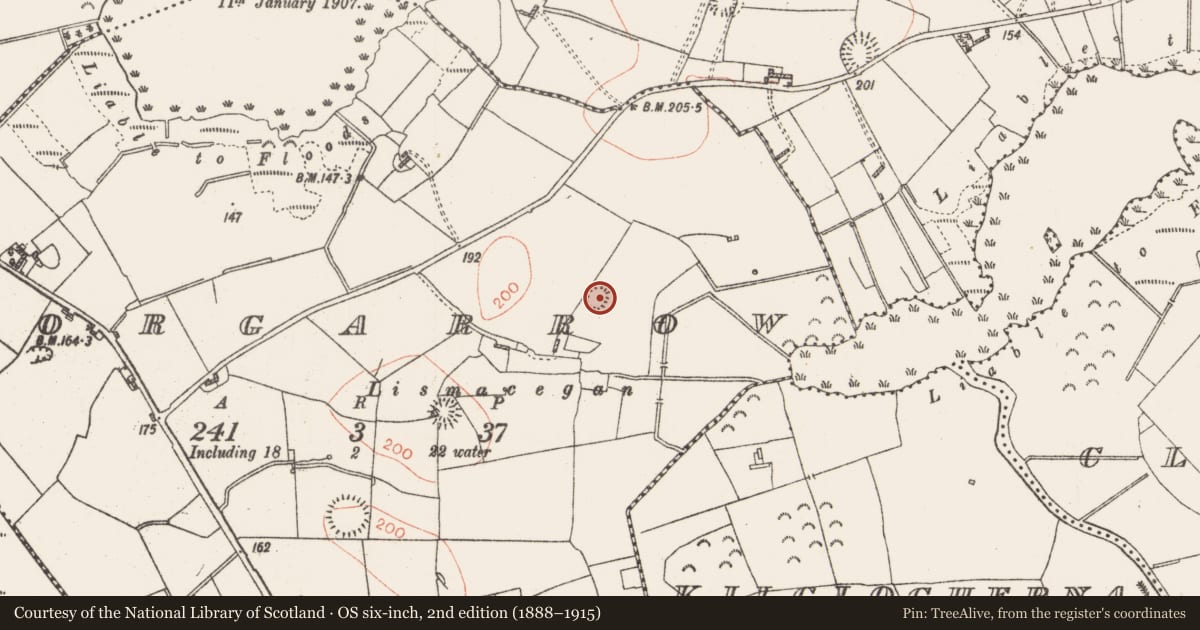 Ordnance Survey six-inch map, 2nd edition (1888–1915) covering the location of Children's burial ground, Corgarrow, County Roscommon, with a pin at the register's coordinates