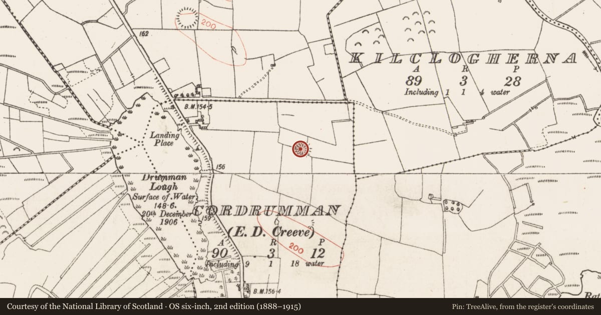 Ordnance Survey six-inch map, 2nd edition (1888–1915) covering the location of Ringfort - rath, Cordrumman, County Roscommon, with a pin at the register's coordinates