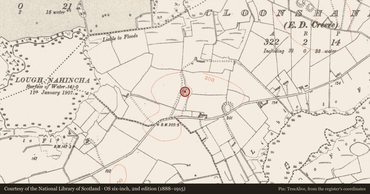 Ordnance Survey six-inch map, 2nd edition (1888–1915) covering the location of Ringfort - rath, Cloonshannagh, County Roscommon, with a pin at the register's coordinates