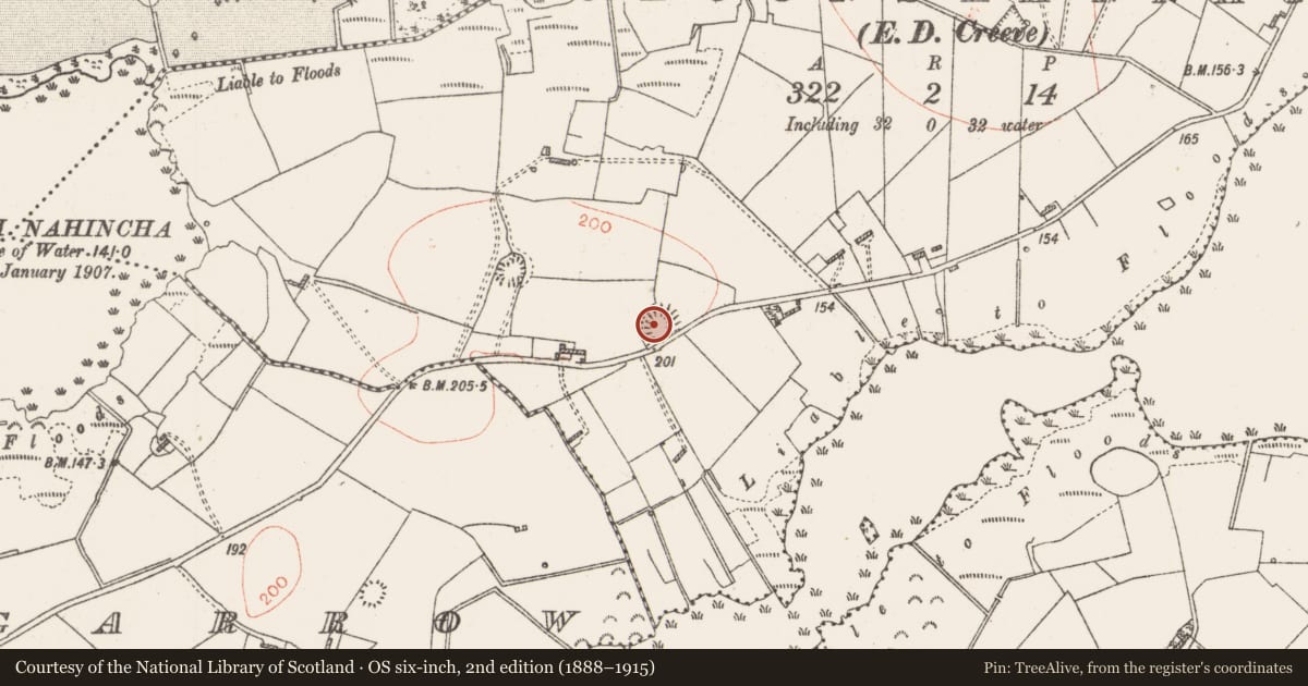 Ordnance Survey six-inch map, 2nd edition (1888–1915) covering the location of Ringfort - rath, Cloonshannagh, County Roscommon, with a pin at the register's coordinates