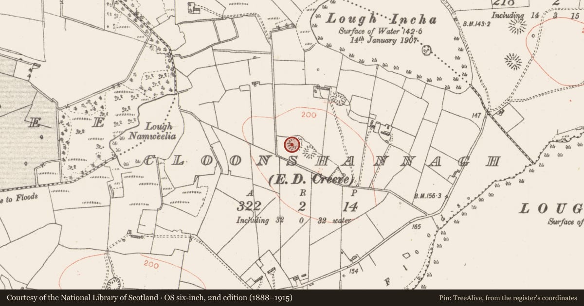 Ordnance Survey six-inch map, 2nd edition (1888–1915) covering the location of Ringfort - rath, Cloonshannagh, County Roscommon, with a pin at the register's coordinates