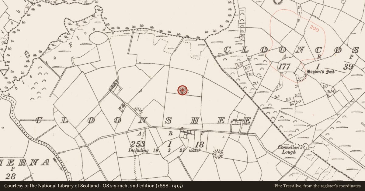 Ordnance Survey six-inch map, 2nd edition (1888–1915) covering the location of Ringfort - rath, Cloonshee, County Roscommon, with a pin at the register's coordinates