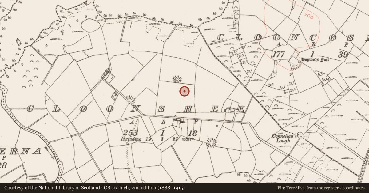 Ordnance Survey six-inch map, 2nd edition (1888–1915) covering the location of Ringfort - rath, Cloonshee, County Roscommon, with a pin at the register's coordinates