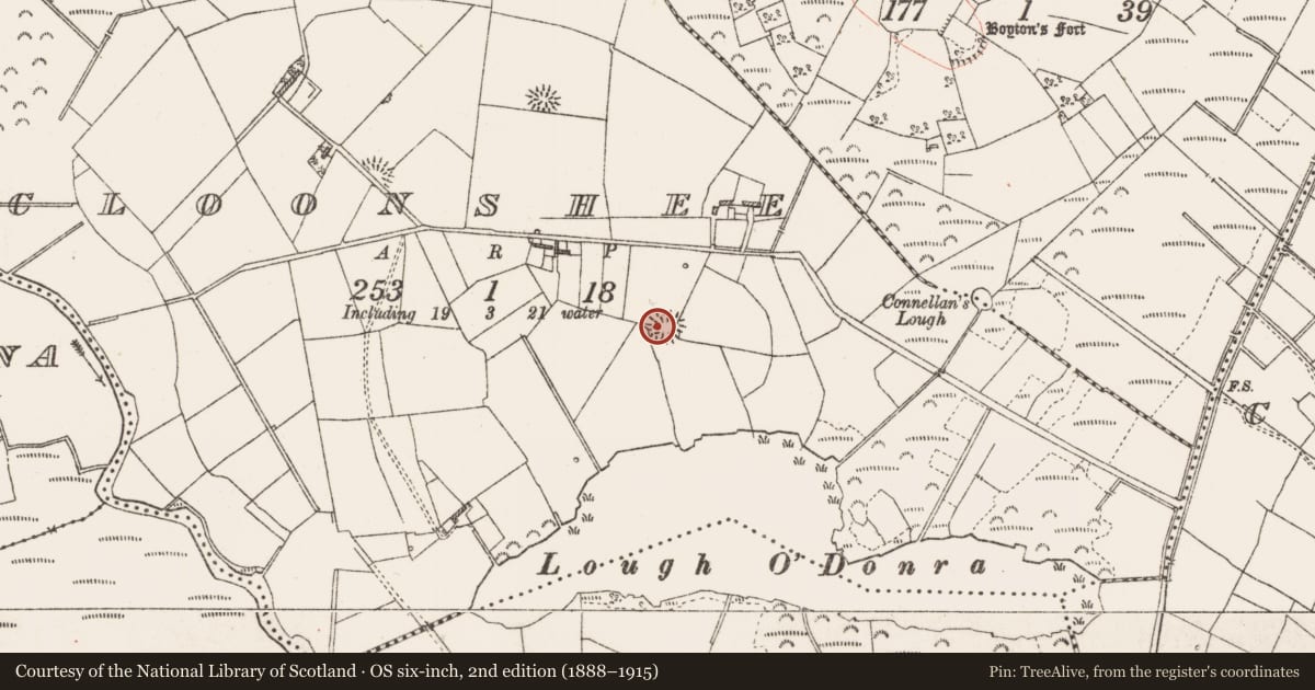 Ordnance Survey six-inch map, 2nd edition (1888–1915) covering the location of Ringfort - rath, Cloonshee, County Roscommon, with a pin at the register's coordinates