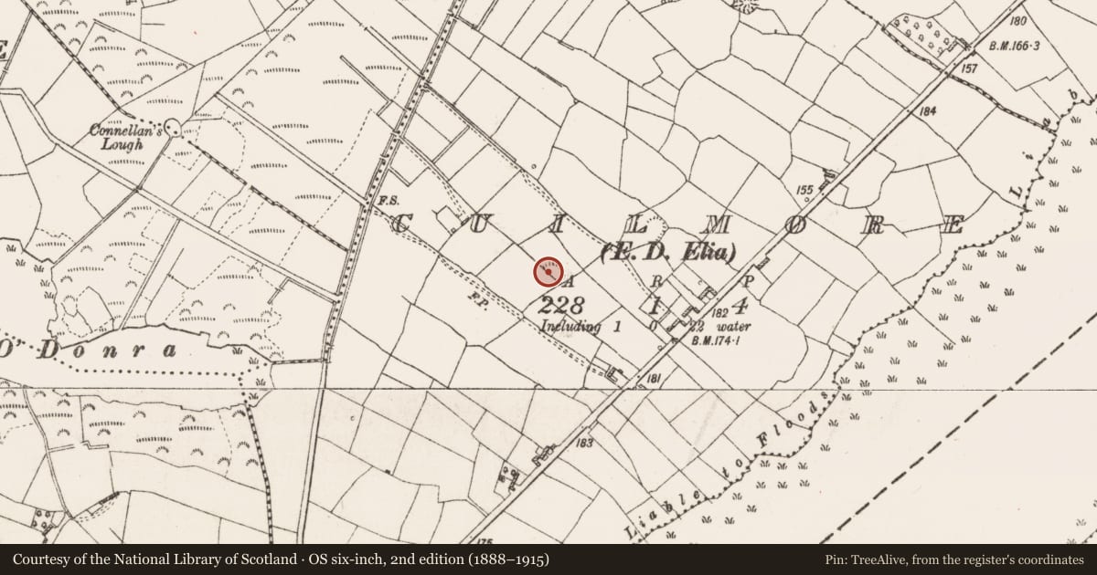 Ordnance Survey six-inch map, 2nd edition (1888–1915) covering the location of Ringfort - rath, Cuilmore, County Roscommon, with a pin at the register's coordinates