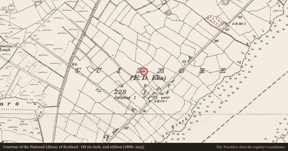 Ordnance Survey six-inch map, 2nd edition (1888–1915) covering the location of Ringfort - rath, Cuilmore, County Roscommon, with a pin at the register's coordinates
