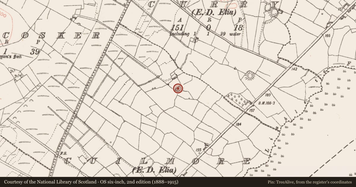 Ordnance Survey six-inch map, 2nd edition (1888–1915) covering the location of Ringfort - rath, Cuilmore, County Roscommon, with a pin at the register's coordinates