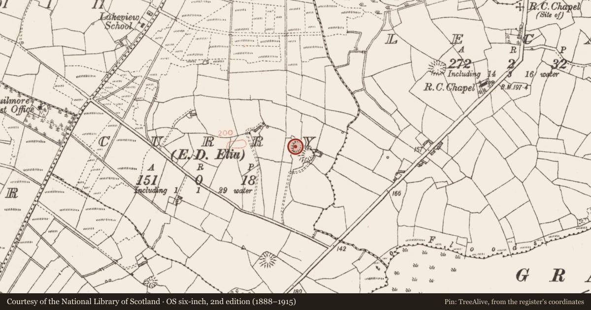 Ordnance Survey six-inch map, 2nd edition (1888–1915) covering the location of Ringfort - rath, Curry, County Roscommon, with a pin at the register's coordinates