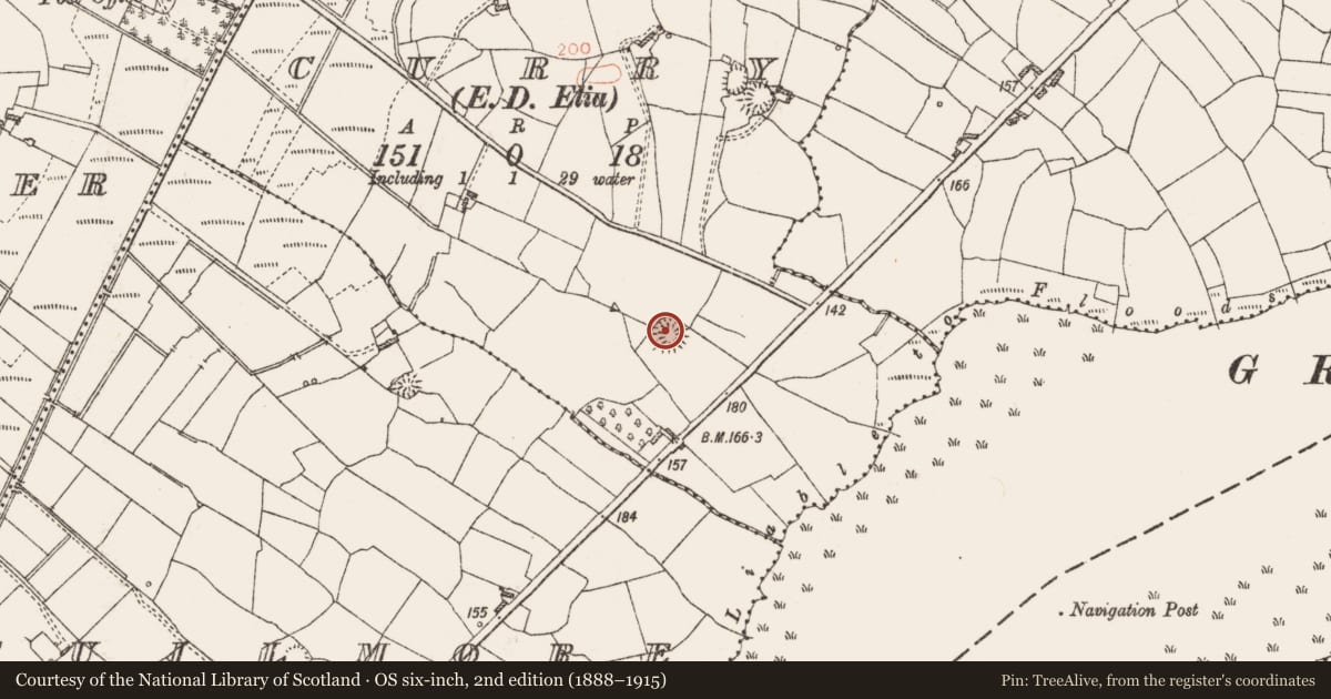 Ordnance Survey six-inch map, 2nd edition (1888–1915) covering the location of Ringfort - rath, Curry, County Roscommon, with a pin at the register's coordinates