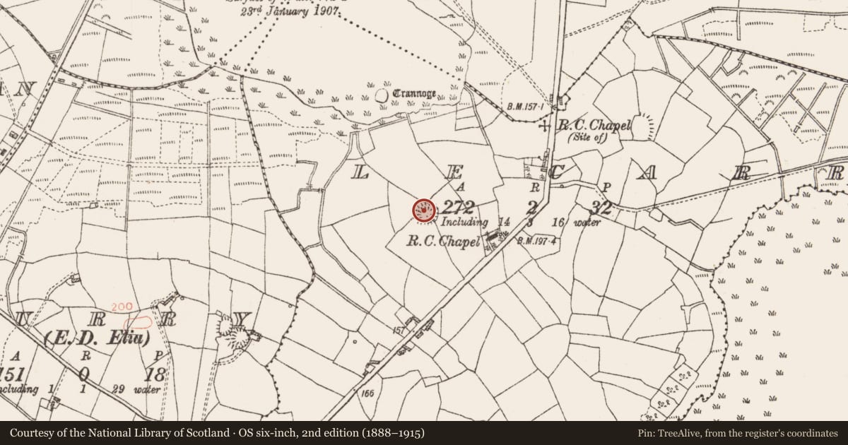 Ordnance Survey six-inch map, 2nd edition (1888–1915) covering the location of Ringfort - rath, Lecarrow, County Roscommon, with a pin at the register's coordinates