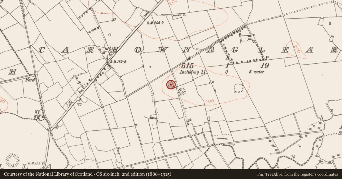 Ordnance Survey six-inch map, 2nd edition (1888–1915) covering the location of Ringfort - rath, Carrownaglearagh, County Roscommon, with a pin at the register's coordinates