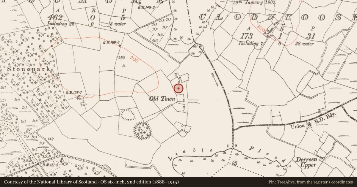 Ordnance Survey six-inch map, 2nd edition (1888–1915) covering the location of Settlement cluster, Toomore, County Roscommon, with a pin at the register's coordinates