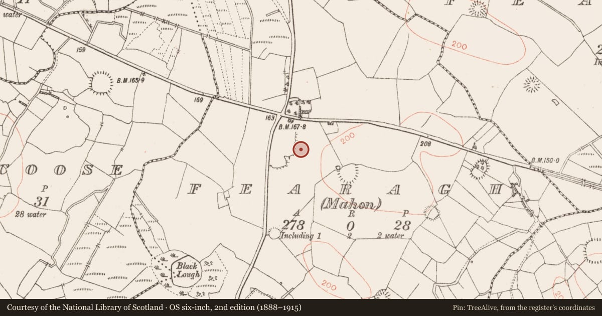 Ordnance Survey six-inch map, 2nd edition (1888–1915) covering the location of Standing stone, Fearagh (Mahon), County Roscommon, with a pin at the register's coordinates