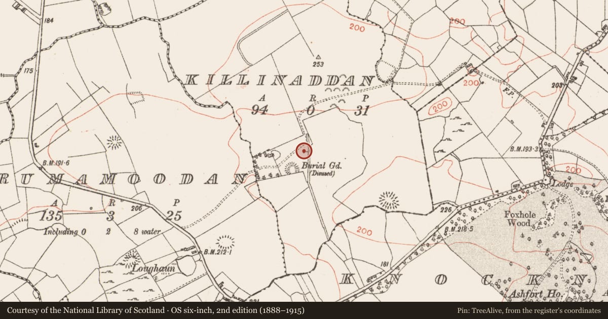 Ordnance Survey six-inch map, 2nd edition (1888–1915) covering the location of Fulacht fia, Killinaddan, County Roscommon, with a pin at the register's coordinates