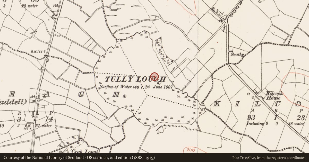 Ordnance Survey six-inch map, 2nd edition (1888–1915) covering the location of Crannog, Tully, County Roscommon, with a pin at the register's coordinates