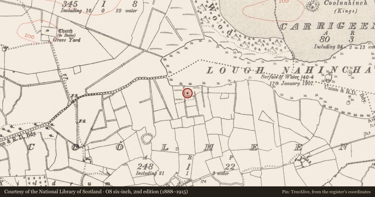 Ordnance Survey six-inch map, 2nd edition (1888–1915) covering the location of Fulacht fia, Coolmeen, County Roscommon, with a pin at the register's coordinates