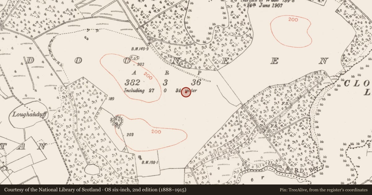 Ordnance Survey six-inch map, 2nd edition (1888–1915) covering the location of Ringfort - rath, Dooneen, County Roscommon, with a pin at the register's coordinates