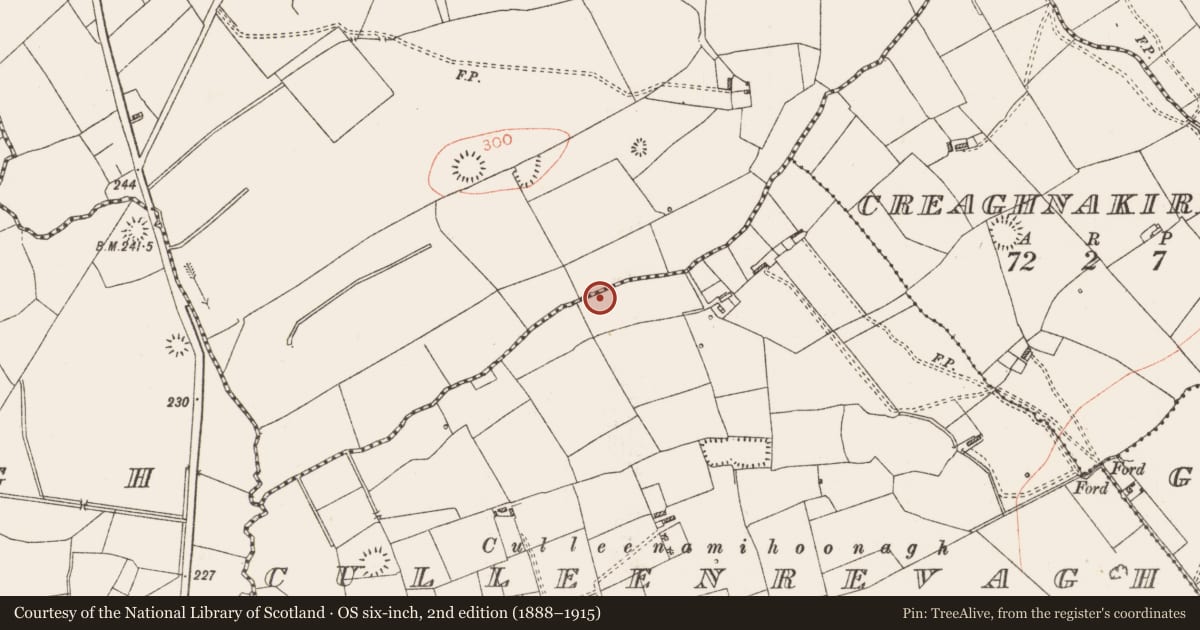 Ordnance Survey six-inch map, 2nd edition (1888–1915) covering the location of Ringfort - rath, Culleenrevagh, County Roscommon, with a pin at the register's coordinates